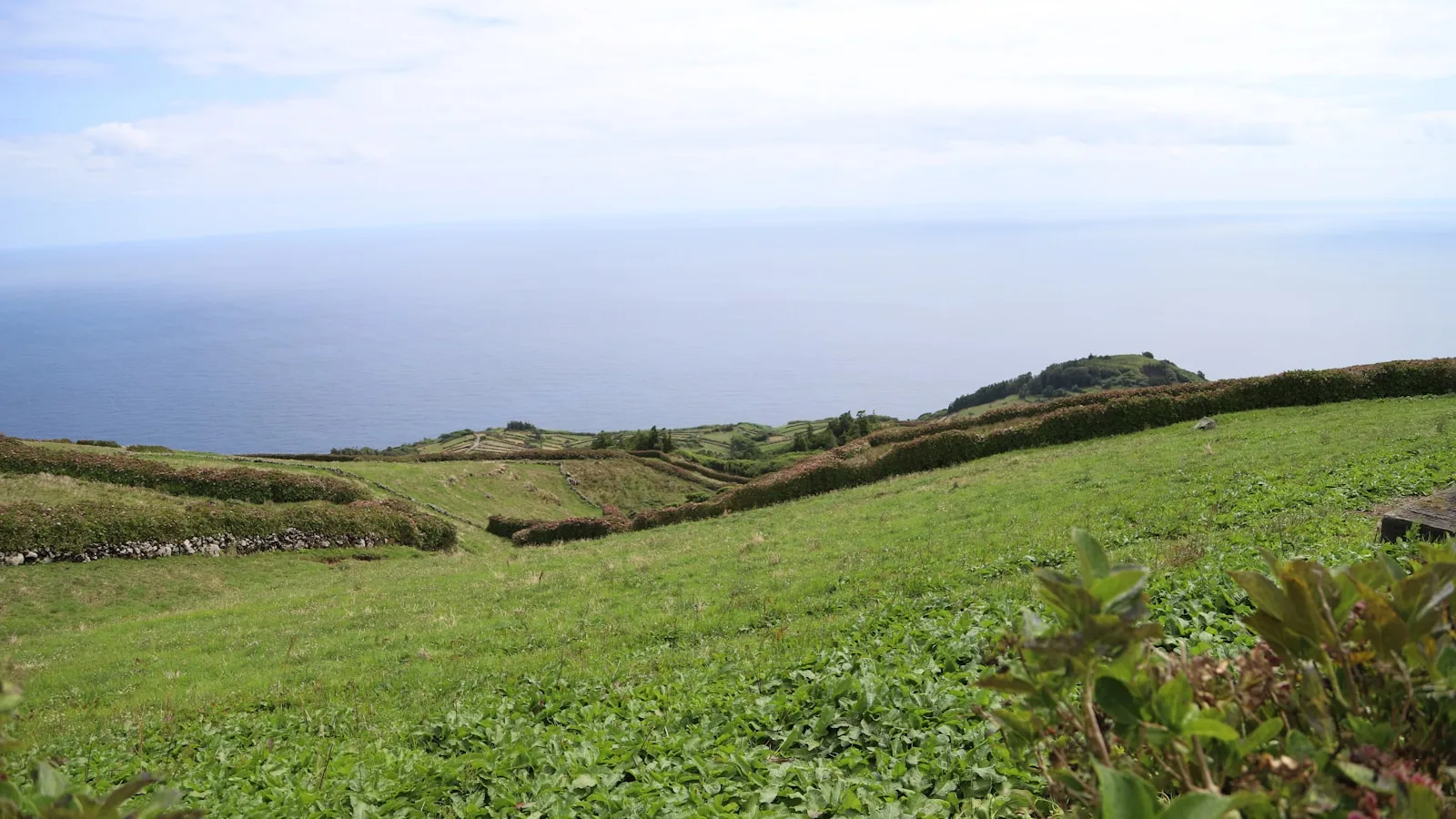 Randonnées et paysages naturels