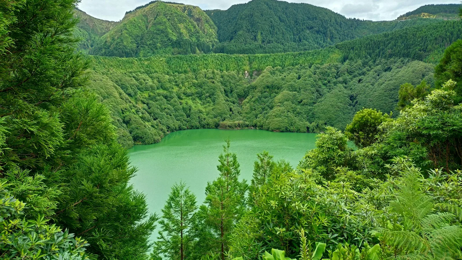 ️ Îles isolées : Corvo, Graciosa, Flores, Santa Maria