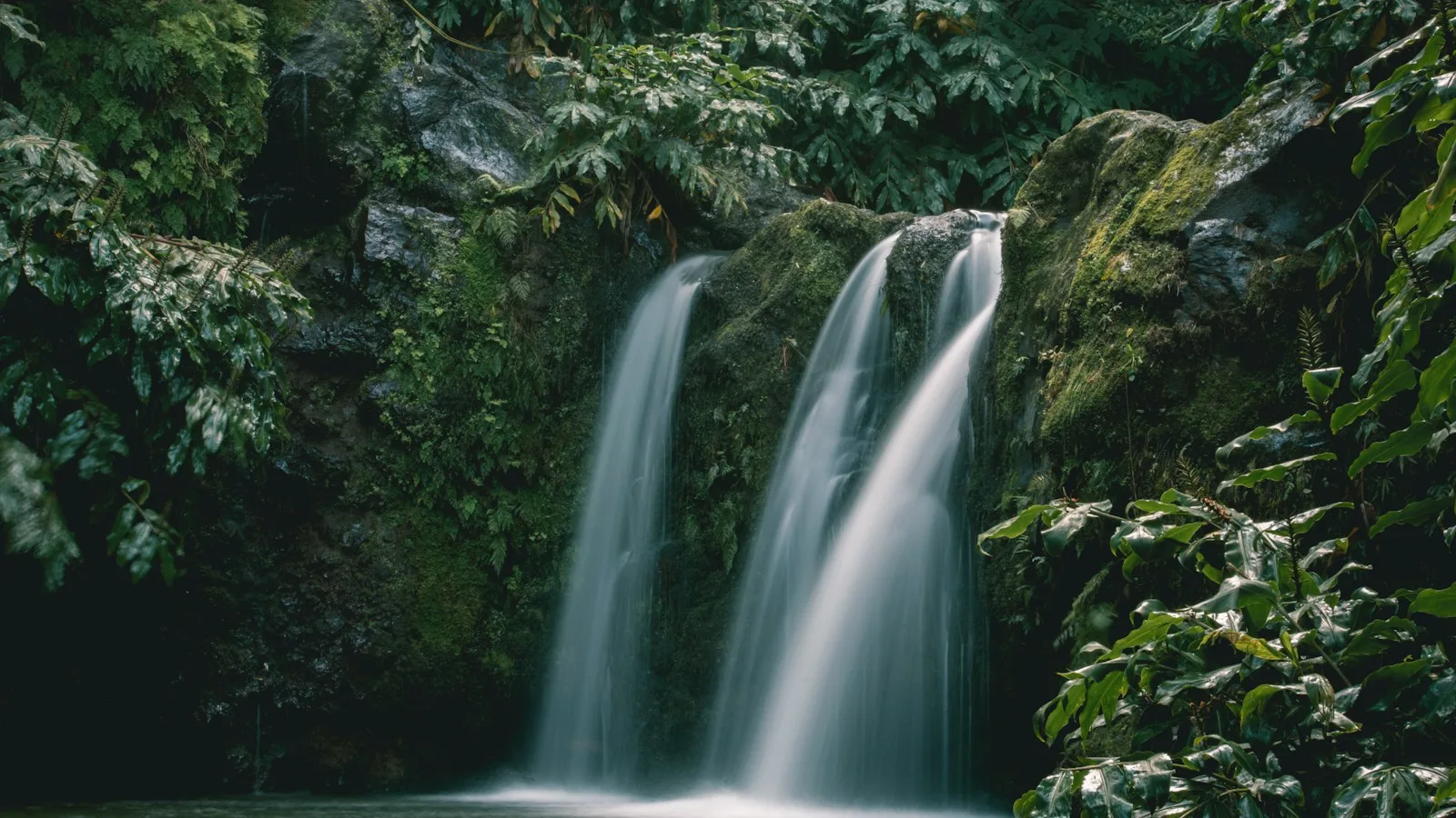 Verre d'eau du robinet rempli face à un paysage volcanique et un lac de cratère aux Açores