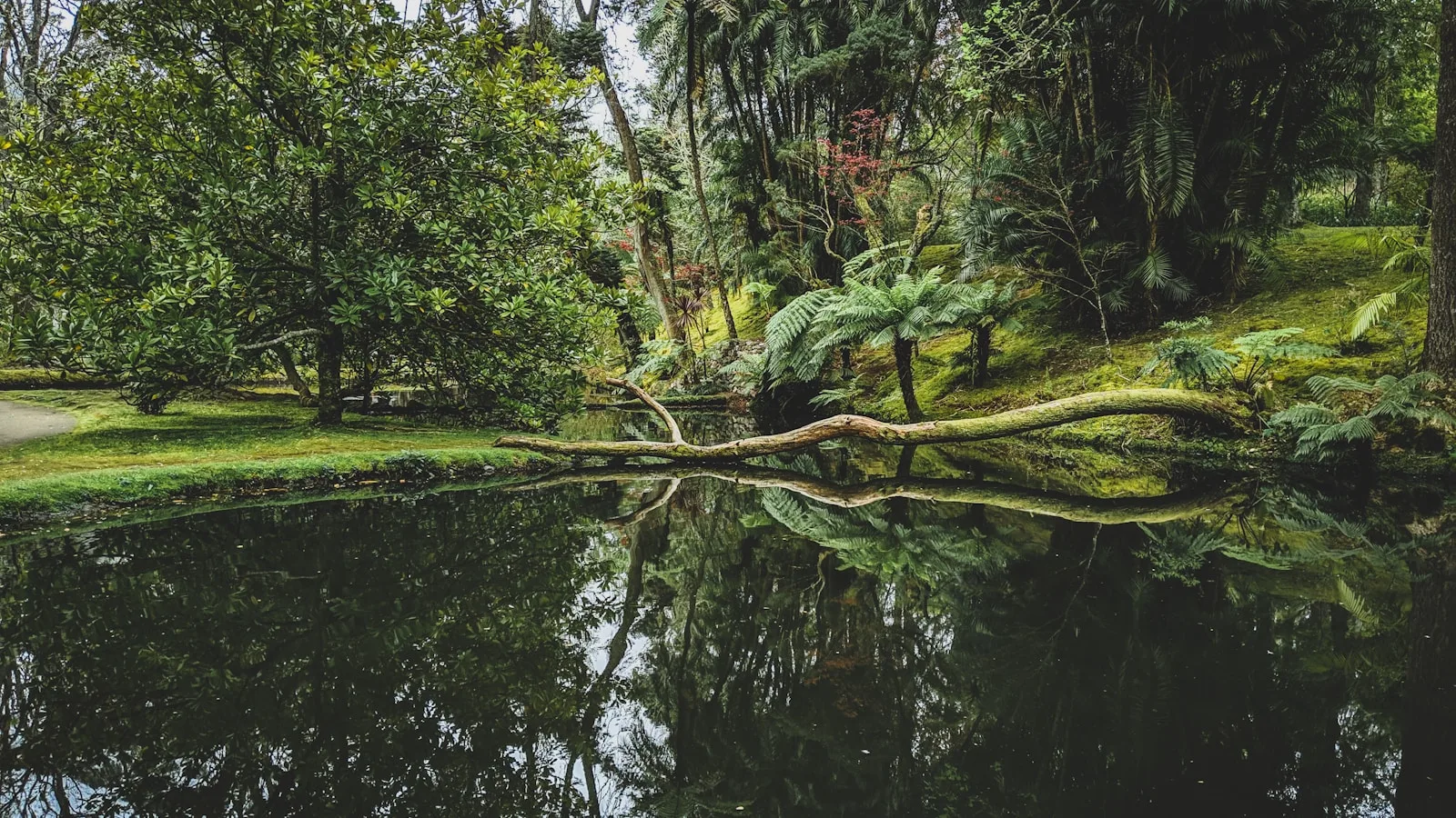 Le Terra Nostra Garden : un jardin au fond d'un volcan