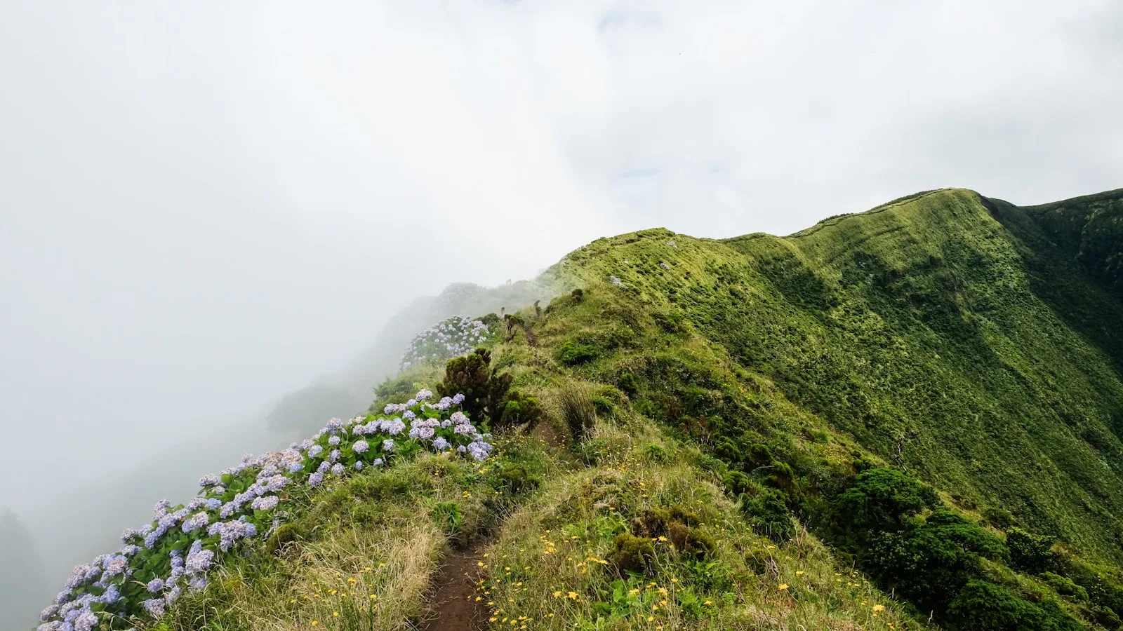 Jour 2 — Ascension du Pico : le toit du Portugal