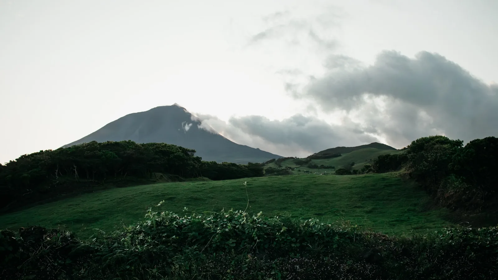 Le volcan Pico émergeant des nuages au-dessus des vignes centenaires de Madalena, aux Açores