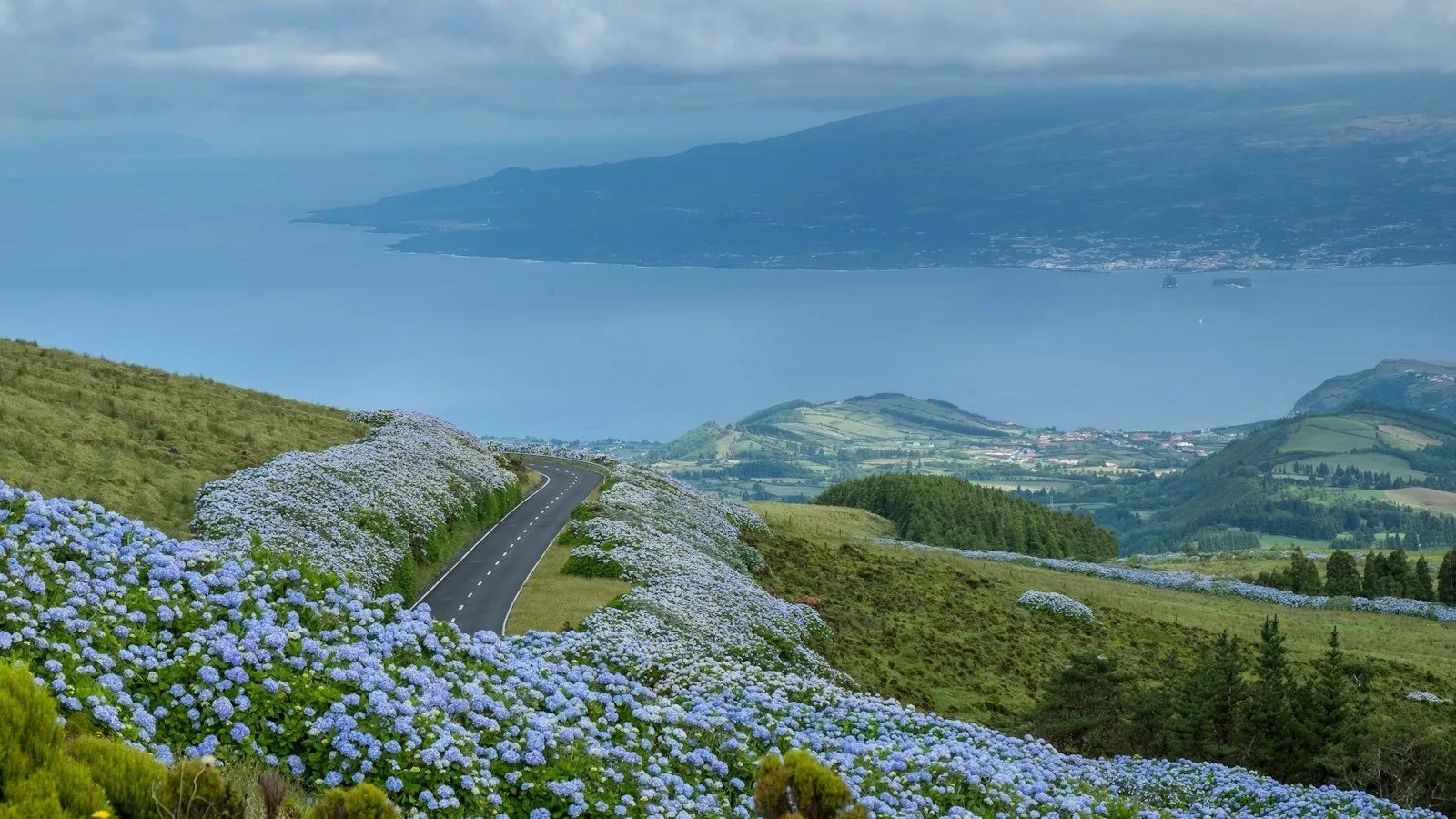 Route sinueuse et verdoyante typique des Açores, adaptée à une balade en scooter