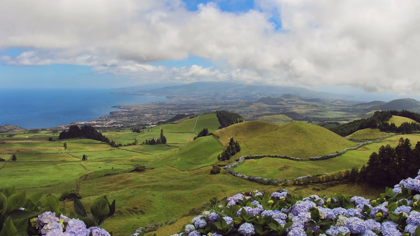 ️ Jours 1-2 — Faial : la bleue aux hortensias