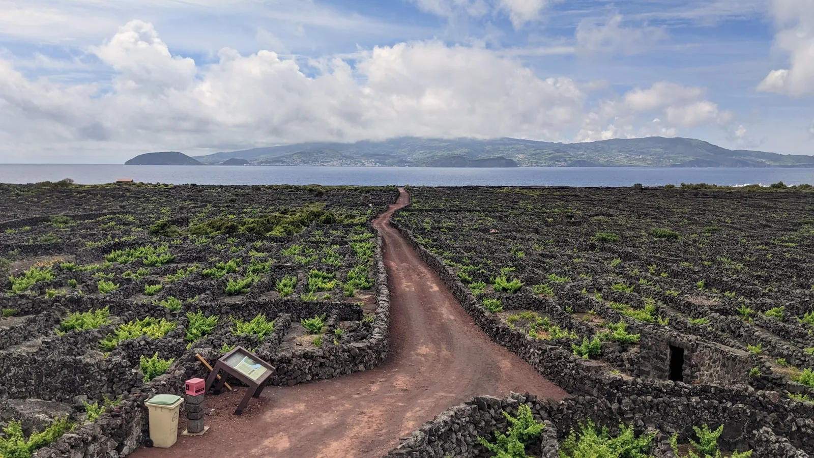 ️ Jours 3-5 — Pico : le volcan et les vignes
